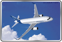 Airbus A319 Charter