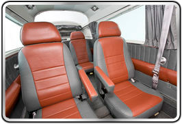 Cessna 310 Rental