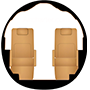 Gulfstream G500 Cabin