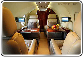 Falcon 10/100 Rental